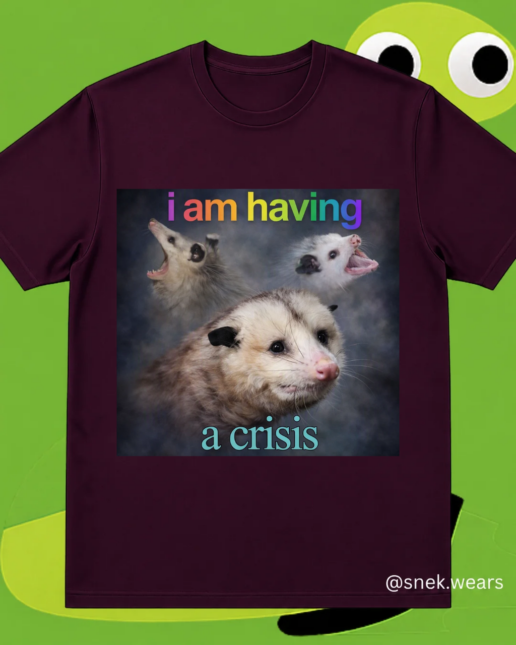 Having a Crisis Printed Tshirt