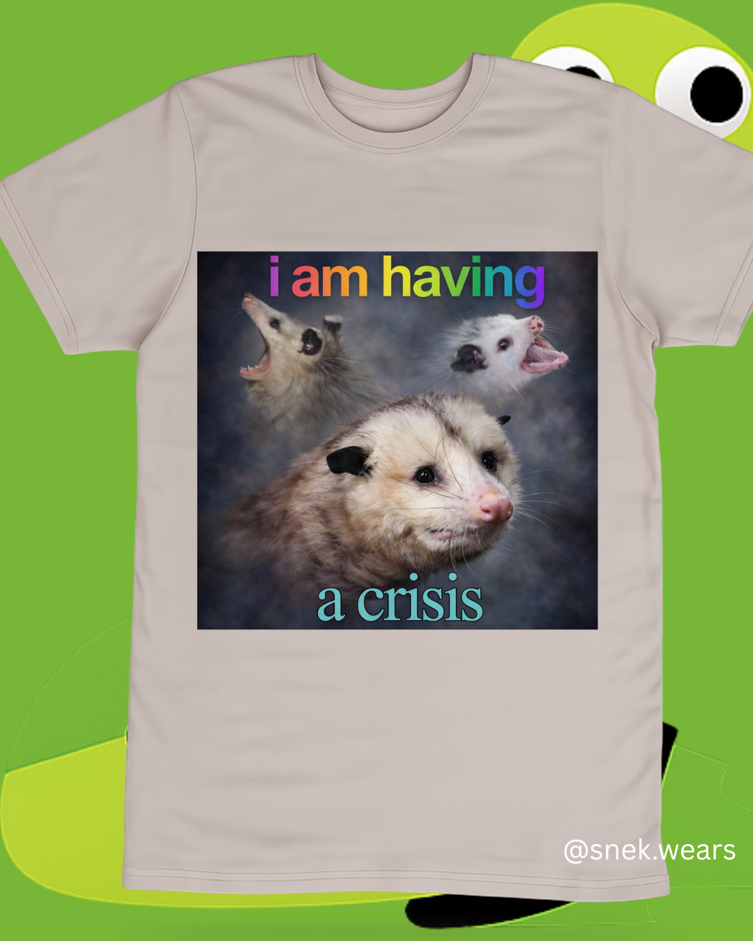 Having a Crisis Printed Tshirt