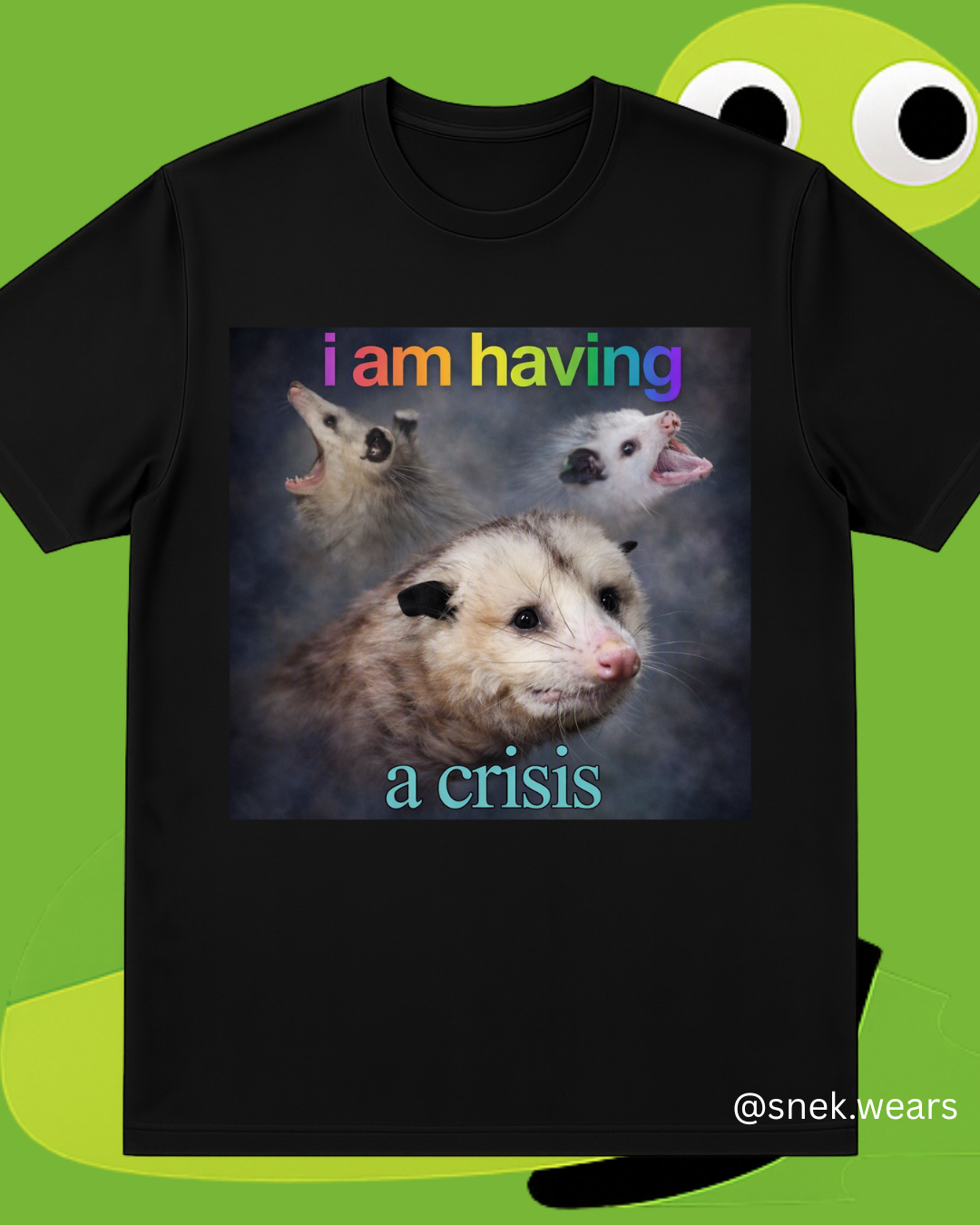 Having a Crisis Printed Tshirt