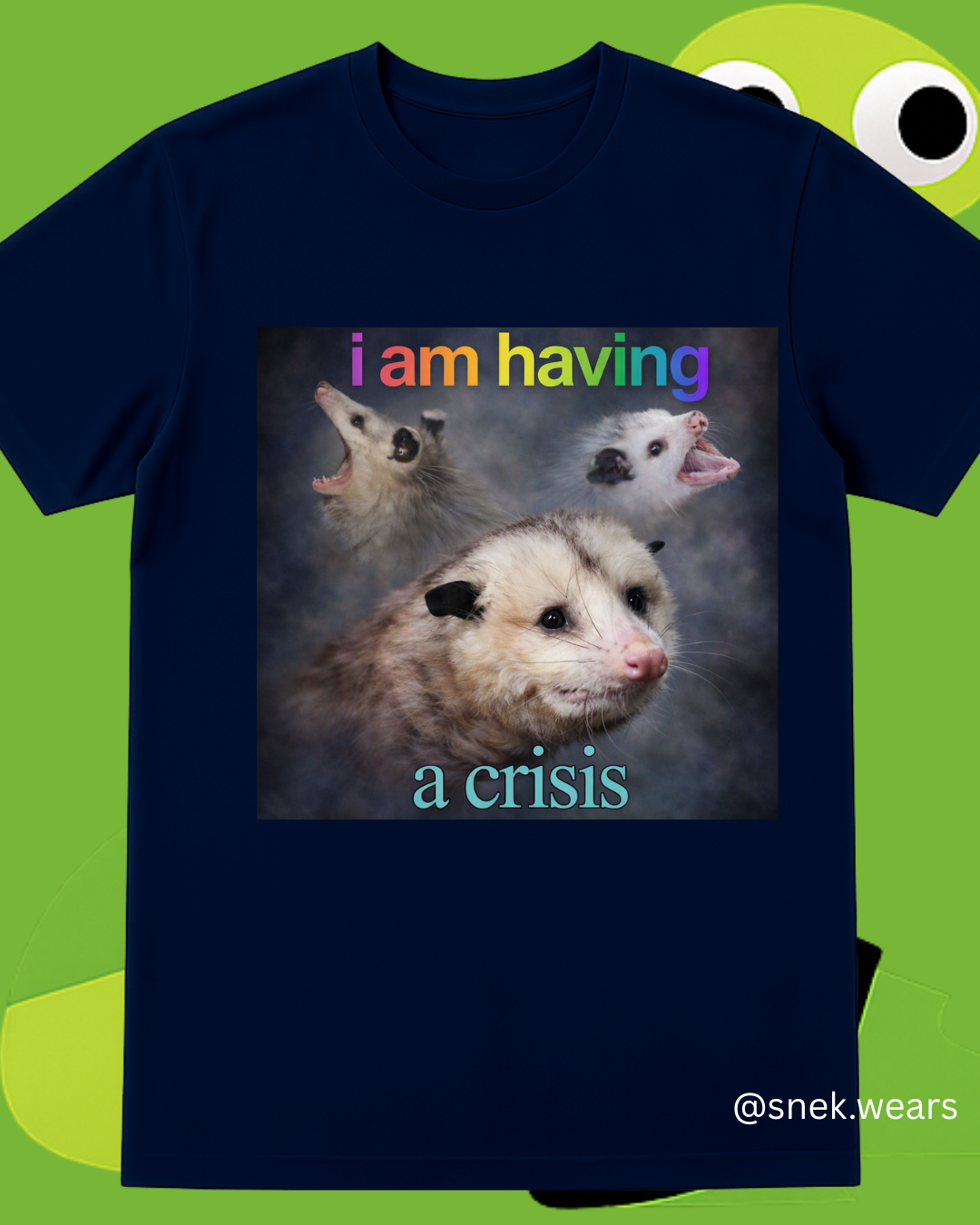 Having a Crisis Printed Tshirt