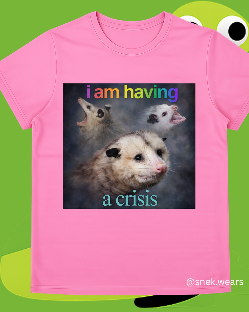 Having a Crisis Printed Tshirt