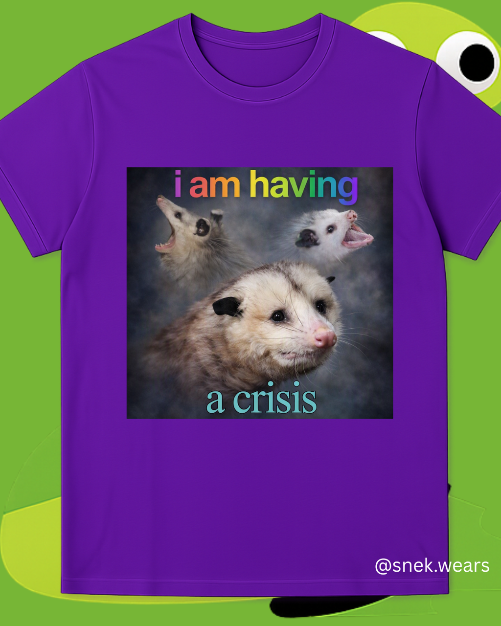 Having a Crisis Printed Tshirt