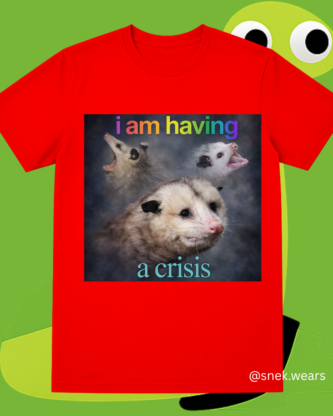 Having a Crisis Printed Tshirt