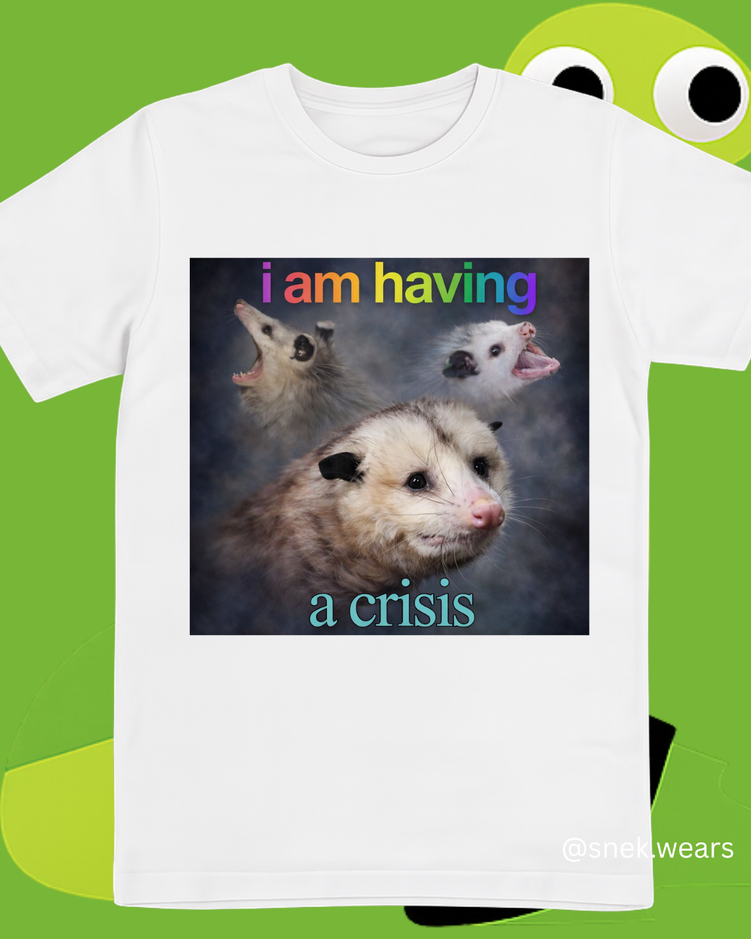 Having a Crisis Printed Tshirt