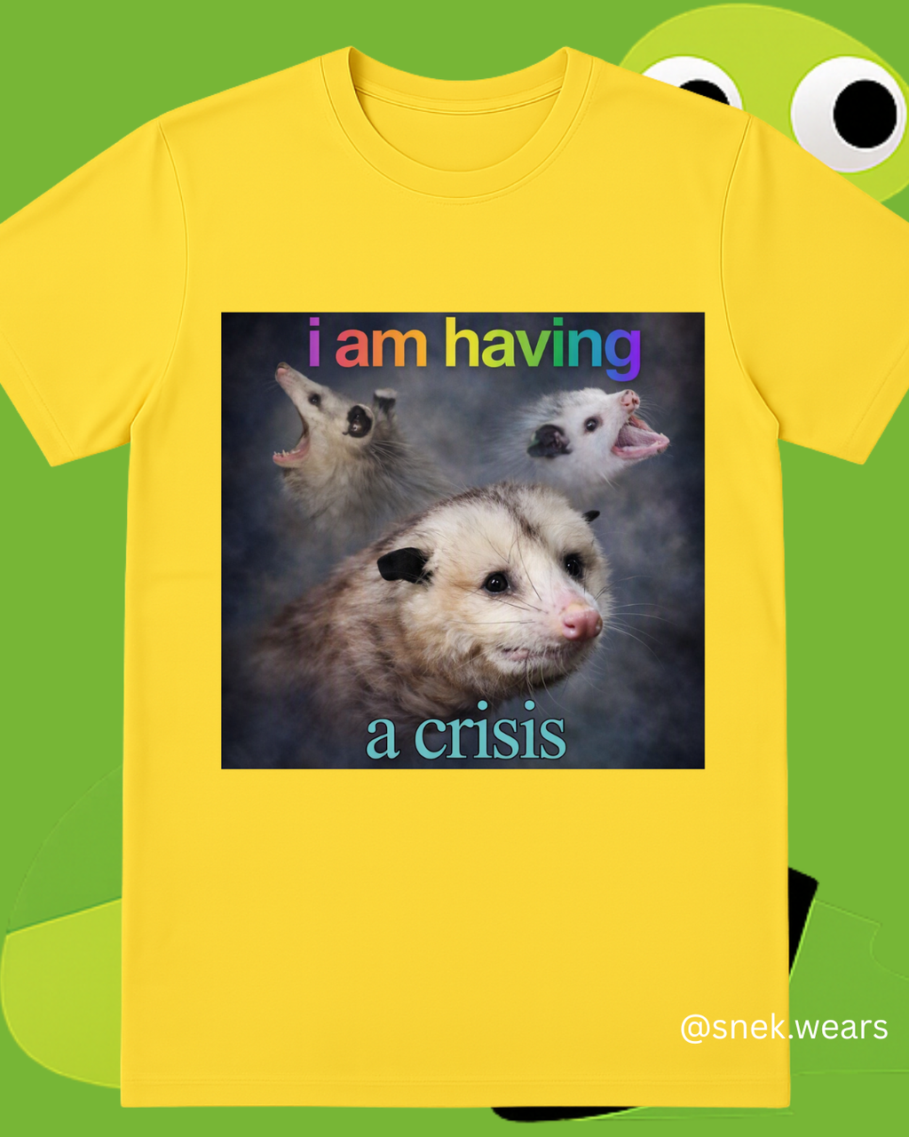 Having a Crisis Printed Tshirt